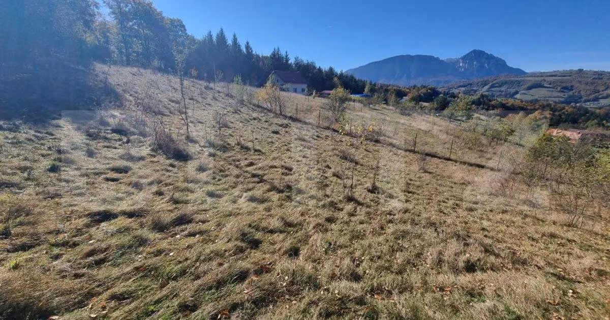 Teren Construcții extravilan de vânzare de 2346 mp, în Poiana Mărului