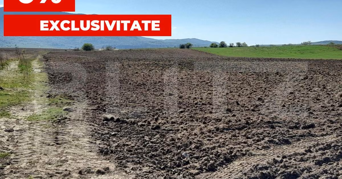 Teren agricol extravilan de vânzare de 15000 mp, în Codlea