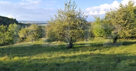 Teren Tărlungeni