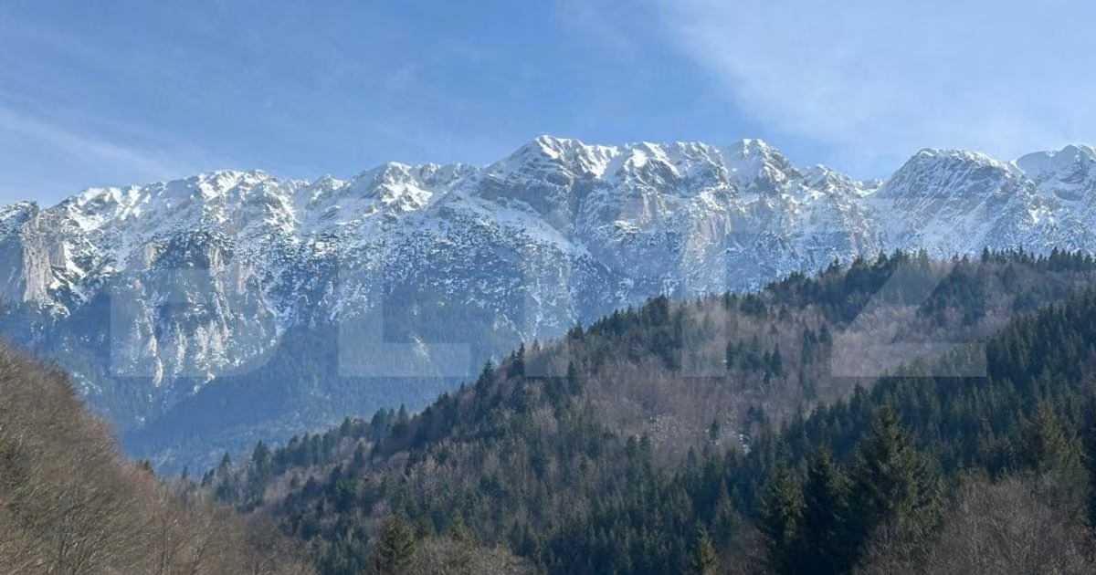Teren extravilan de vânzare de 5170 mp, în Zărnești