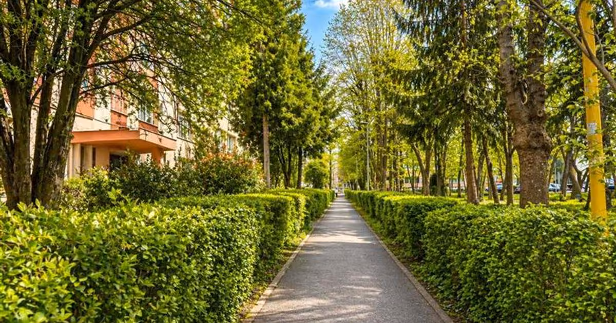 Apartament de vânzare cu 3 camere, mobilat în zona Central, Brașov