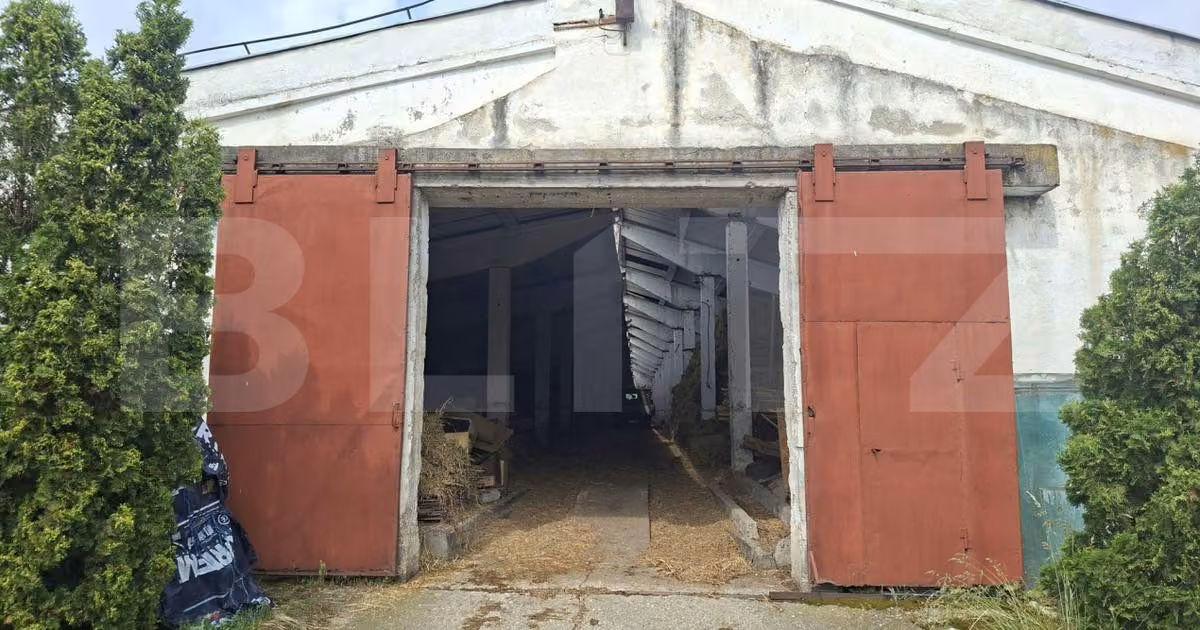 Spațiu comercial · 3000 m², Nord, halchiu