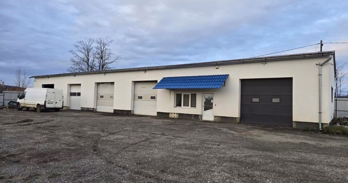 Spațiu industrial de vânzare 300 mp în Cărpinet