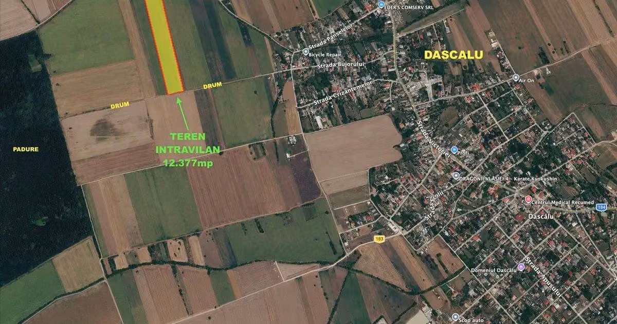 Teren Construcții intravilan de vânzare de 12377 mp, în Dascălu