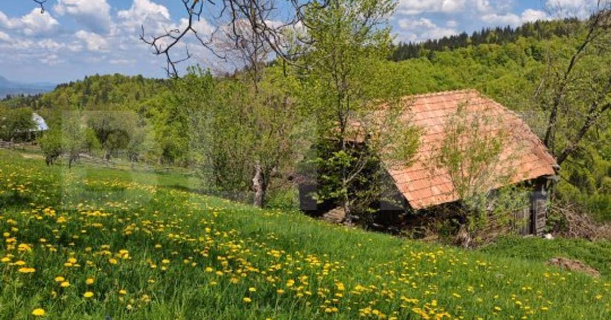 Teren Construcții intravilan de vânzare de 3400 mp, în Bran
