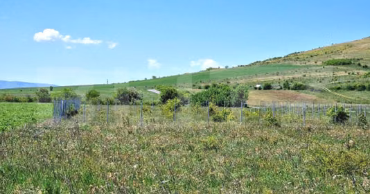 Teren Florești