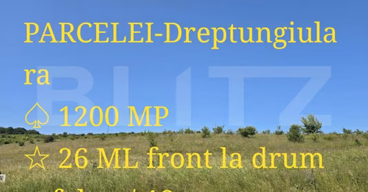 Teren Sălicea