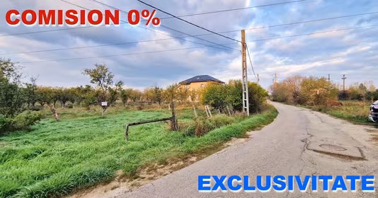 Teren Bascov