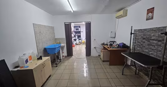 Spațiu comercial Trivale
