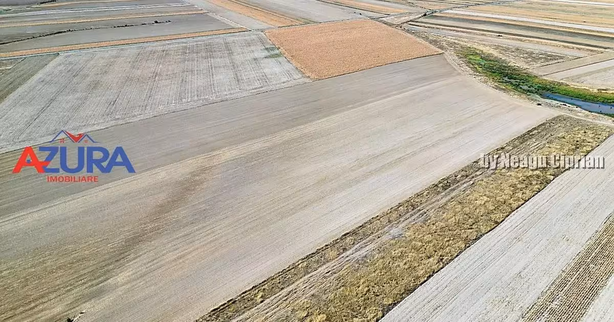 Teren agricol extravilan de vânzare de 47200 mp, în Căteasca