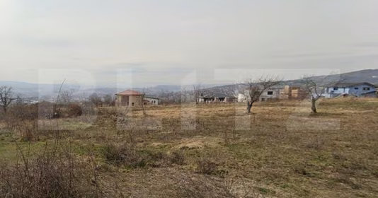 Teren Mărăști
