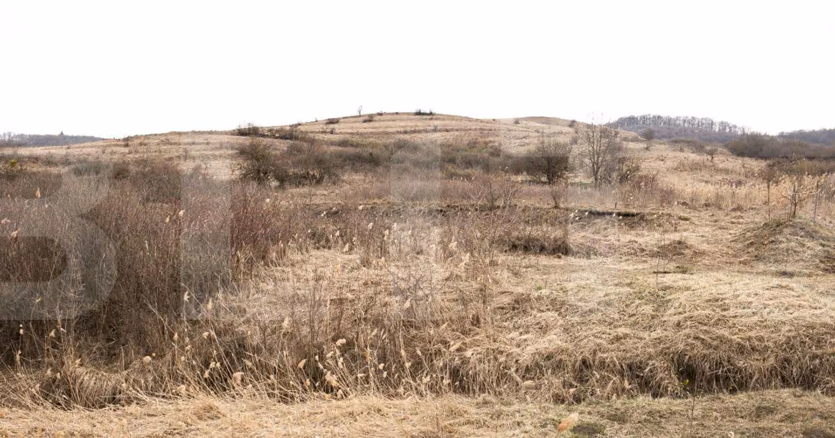 Teren Construcții intravilan de vânzare de 7088 mp, în zona Borhanci, Cluj-Napoca