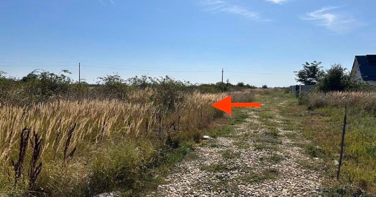 Teren Construcții extravilan de vânzare de 1000 mp, în Săbăreni