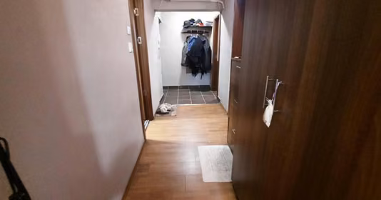 Apartament Tineretului