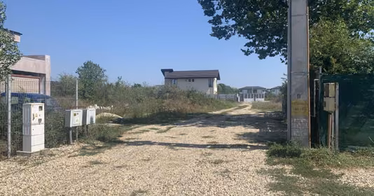 Teren Mogoșoaia