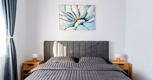 Apartament Vasile Aaron