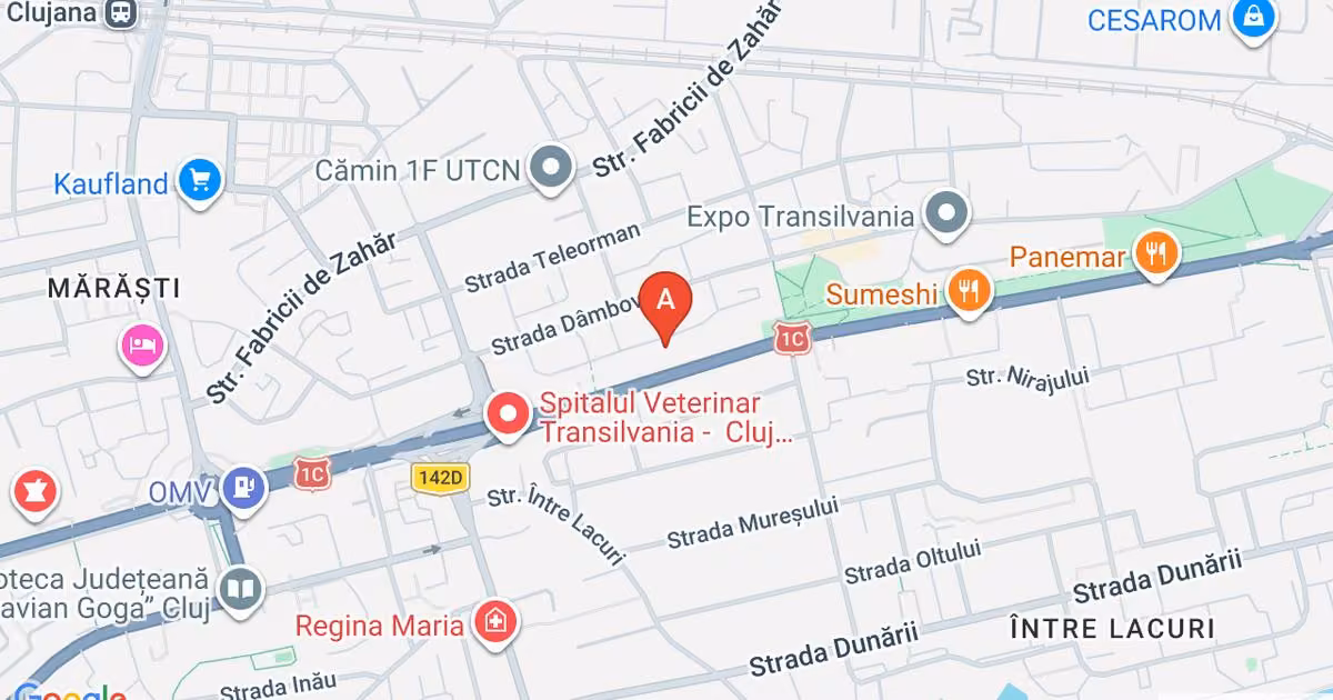 Apartament de vânzare cu 3 camere în zona Mărăști, Cluj-Napoca