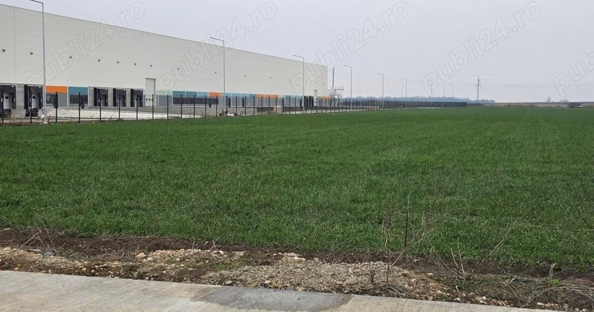 Teren Construcții intravilan de vânzare de 10000 mp, în zona Șagului, Timișoara