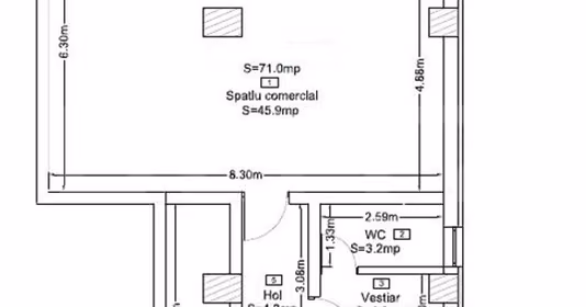 Spațiu comercial Grigorescu