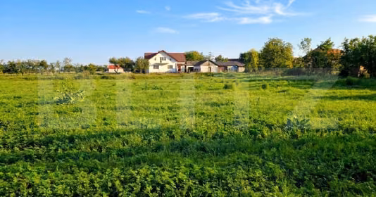 Teren Exterior Est