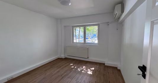 Apartament Tineretului
