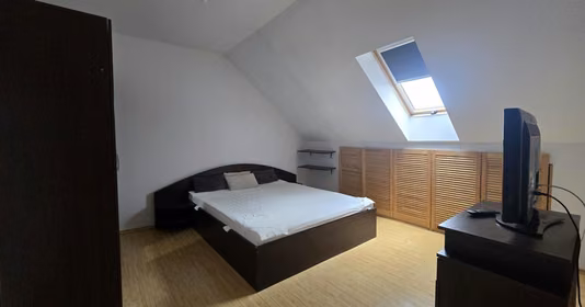 Apartament Vasile Aaron
