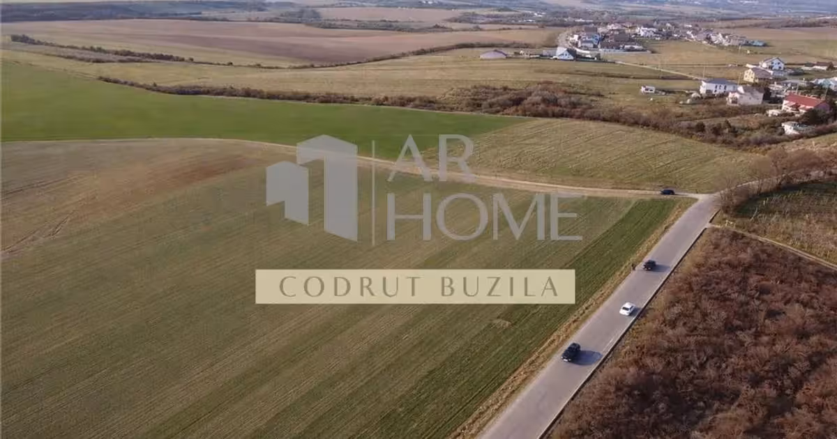 Teren Construcții intravilan de vânzare de 2500 mp, în Chițorani