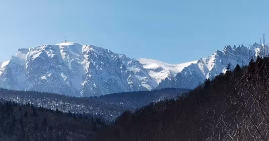 Teren Schei