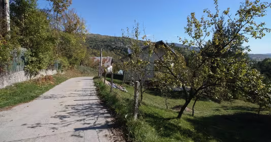 Teren Podul lui Neag