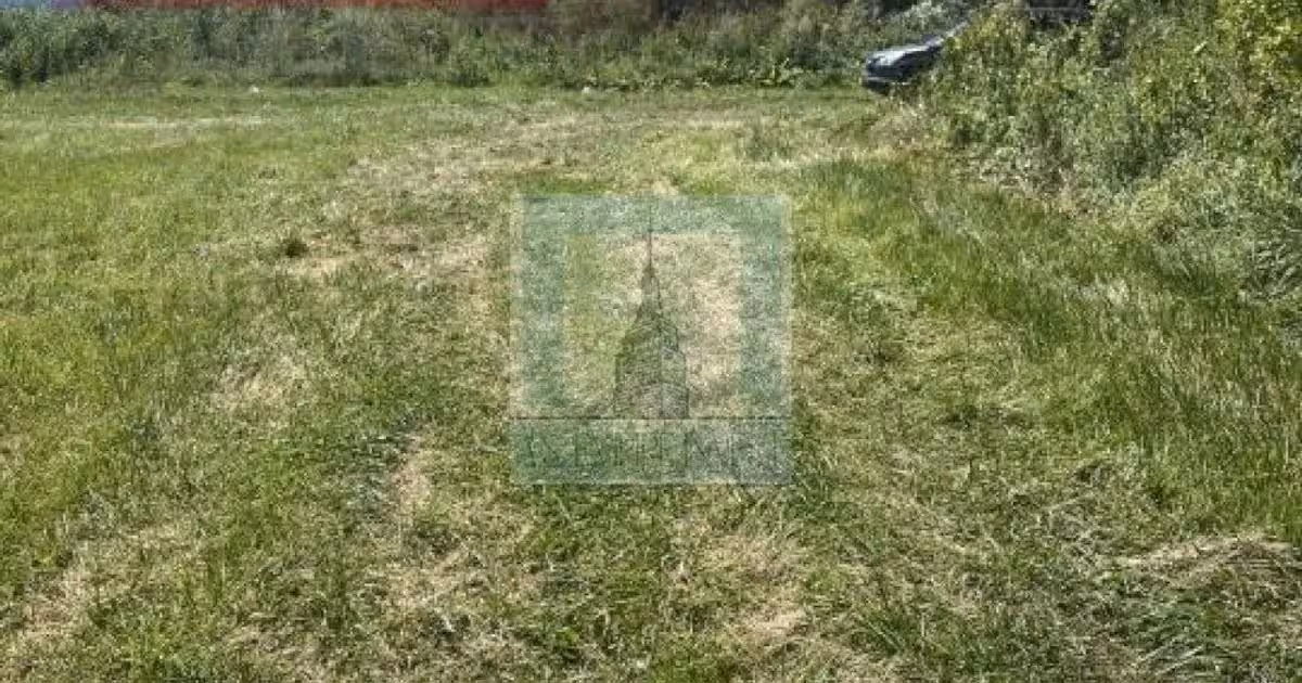 Teren Construcții intravilan de vânzare de 10000 mp, în zona Stupini, Brașov