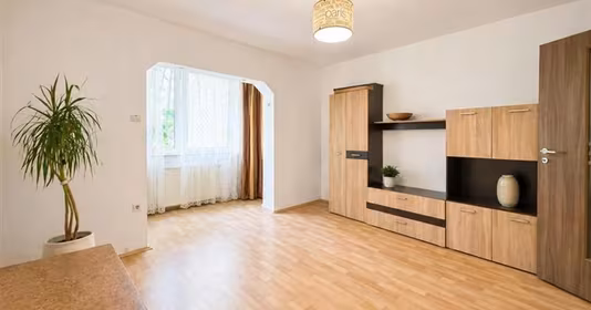 Apartament Dâmbu Pietros