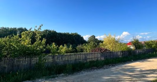 Teren Moșoaia