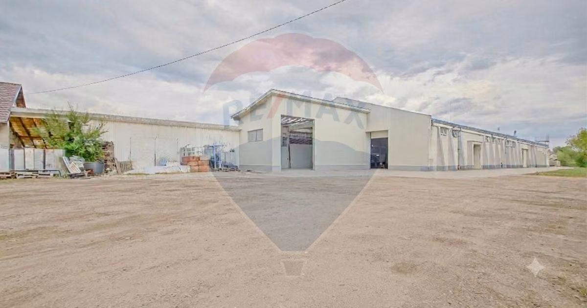 Spațiu comercial · 1716 m², Est, Sfântu Gheorghe