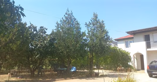 Casă Adunații-Copăceni
