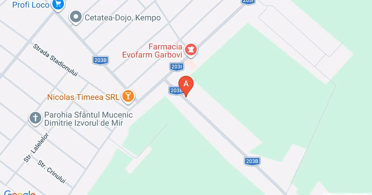 Casă individuală de vânzare cu 5 camere în Gârbovi
