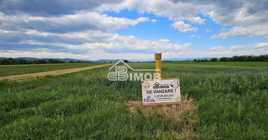 Teren Filipeștii de Târg