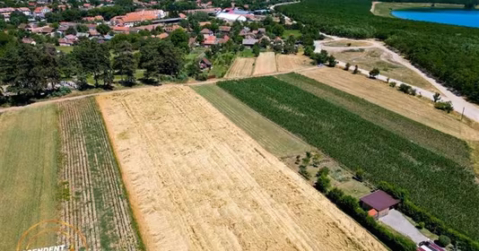 Teren Valea Crișului