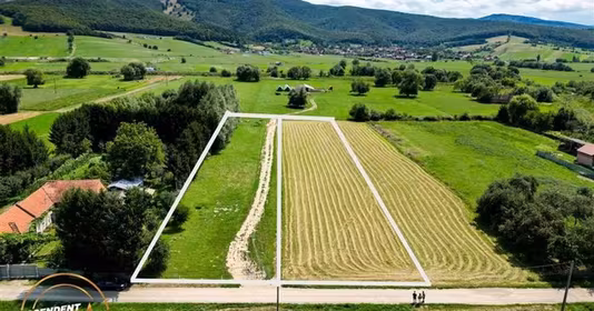 Teren Tractorul