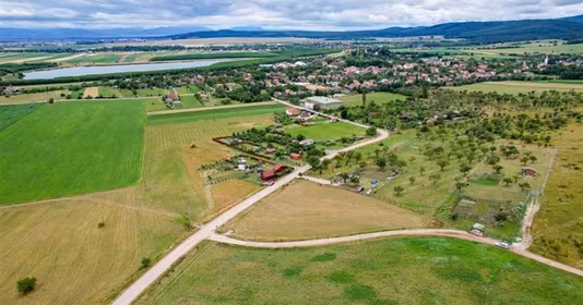 Teren Valea Crișului