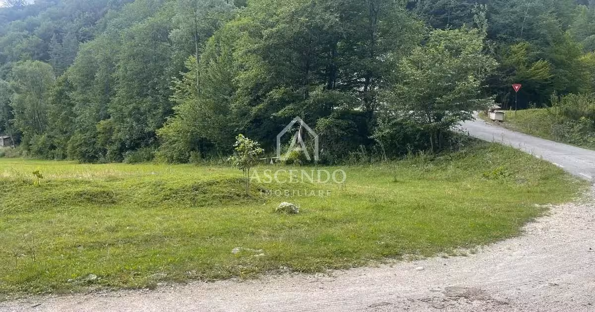 Teren Construcții intravilan de vânzare de 4500 mp, în Dâmbovicioara