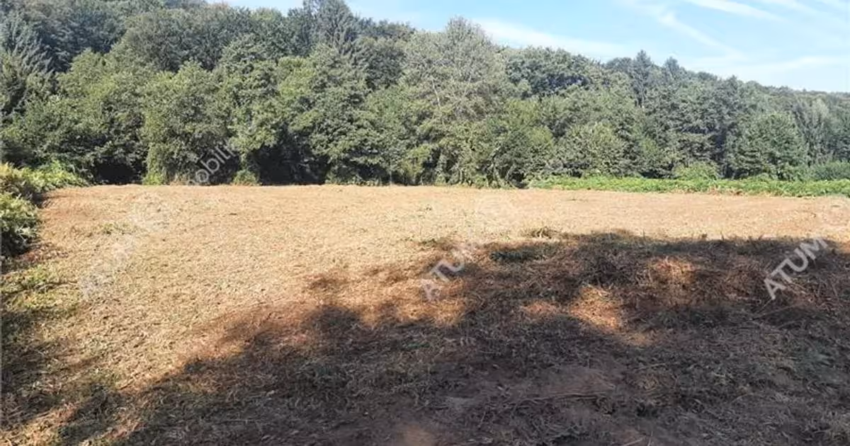 Teren Construcții intravilan de vânzare de 1856 mp, în Avrig