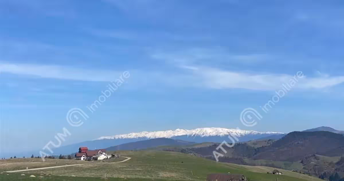 Teren Construcții intravilan de vânzare de 3000 mp, în Păltiniș
