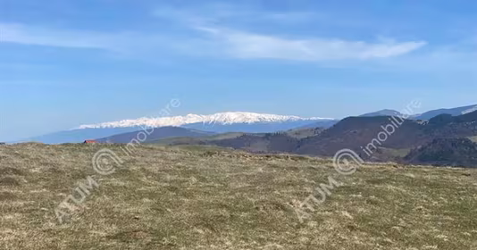 Teren Turnișor