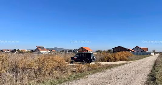 Teren Triaj