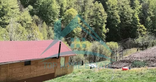 Casă Băișoara