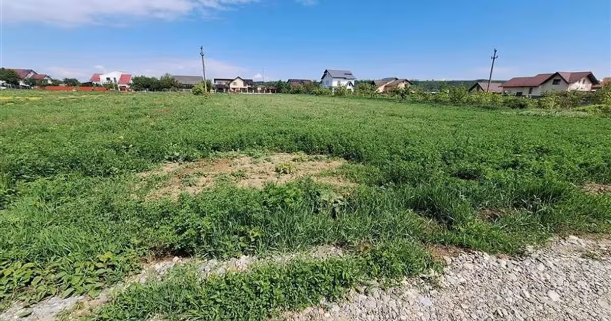 Teren Construcții intravilan de vânzare de 3177 mp, în zona Șerbănești, Bacău