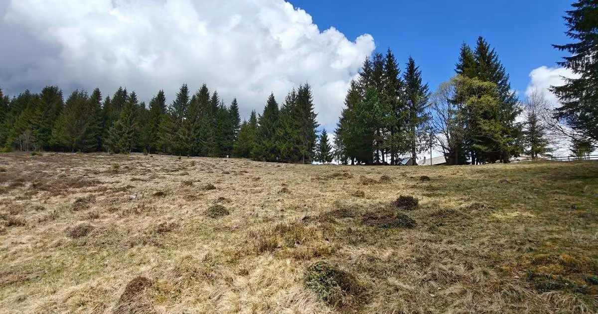 Teren Construcții intravilan de vânzare de 3040 mp, în Beliș