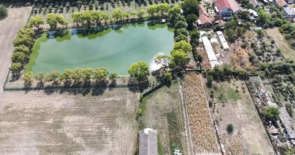 Teren Construcții intravilan de vânzare de 3413 mp, în Dudeștii Noi