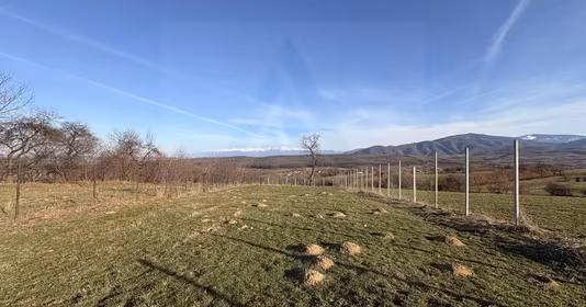 Teren Turnișor