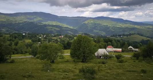 Teren Rogojel